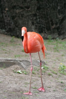 IMG_7414.jpg