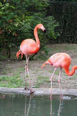 IMG_7417.jpg