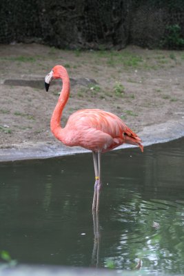 IMG_7420.jpg