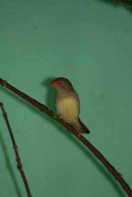 IMG_7500.jpg