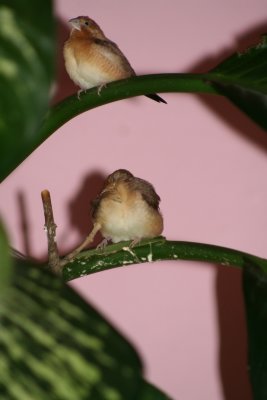 IMG_7501.jpg