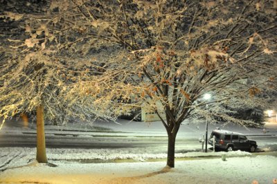 Winter scene, Maryland