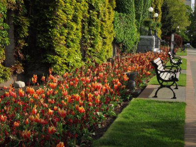 The Empress, Victoria, B.C.