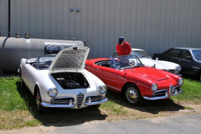 Alfa Romeos