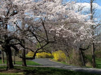 Long Island, N.Y., April 17, 2006