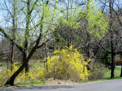 Long Island, N.Y., April 18, 2006