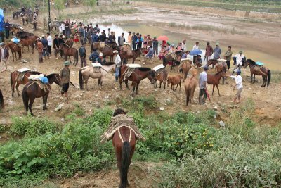 Bac Ha market