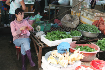 Sapa market