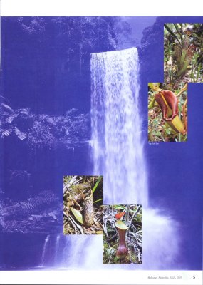 Malaysian Naturalist Magazine