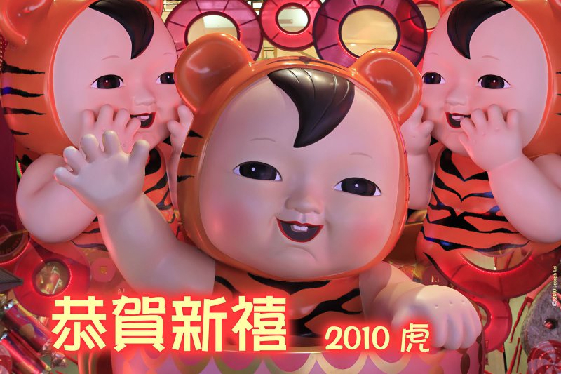 Happy Chinese New Year 2010