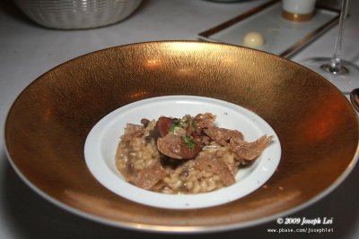 Risotto with wild pigeon ragout