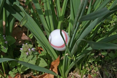 Baseball Candy