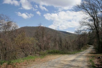 Betty Mountain