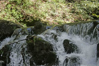 Holly Creek 1