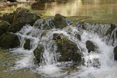 Holly Creek 2
