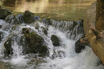 Holly Creek 4