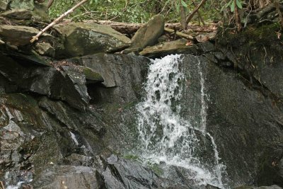 Small Fall - Fast Shutter