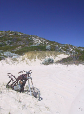 beaches_wa