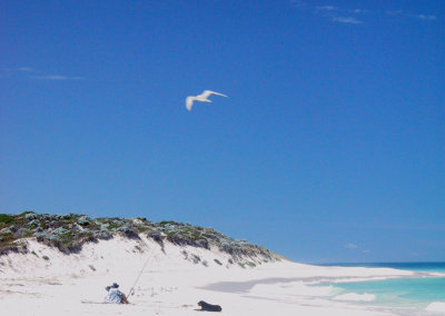 coupleanddogonbeach.jpg