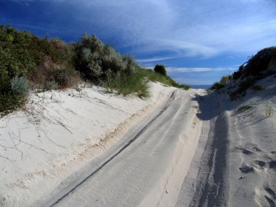 dunetrack.jpg