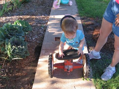 2008_06_19 Gracie, Emma berries\slides\IMG_1698.JPG