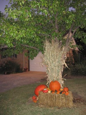 2008_09_13 Pumpkins\slides\IMG_2311.JPG