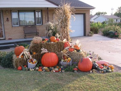 2008_10_18 Landscape, pumpkins\slides\IMG_2328.JPG