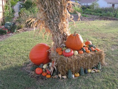 2008_10_18 Landscape, pumpkins\slides\IMG_2329.JPG