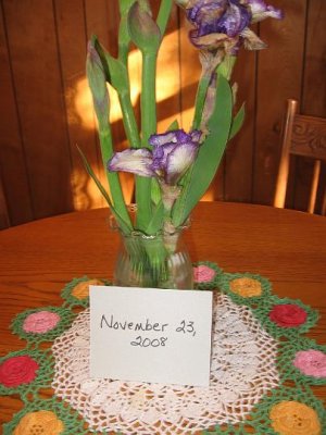 2008_11_22 Fall Birthdays\slides\IMG_2363.JPG
