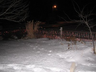 2008_01_01\slides\IMG_1267.JPG