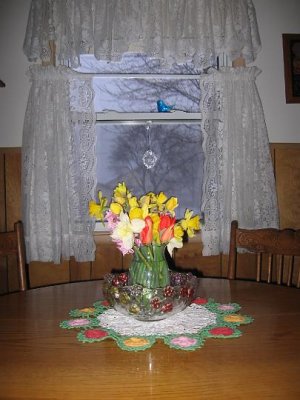 IMG_2728.JPG