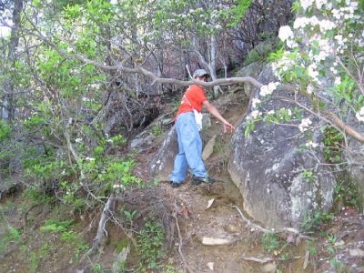IMG_2866.JPG