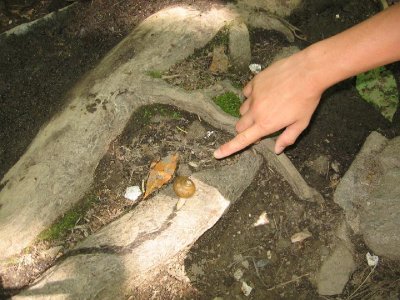 IMG_2876.JPG