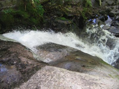 IMG_2878.JPG