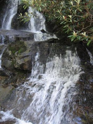 IMG_2879.JPG