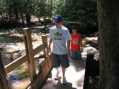 IMG_2904.JPG