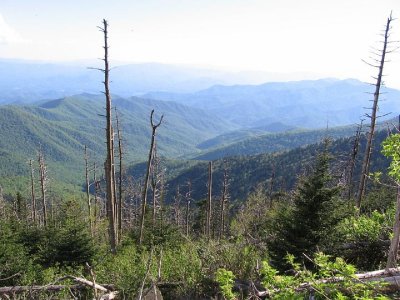 IMG_2925.JPG
