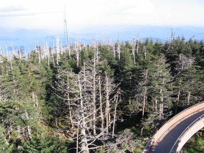 IMG_2928.JPG