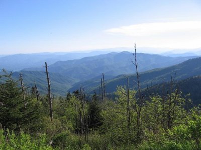 IMG_2935.JPG