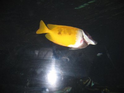 IMG_2993.JPG