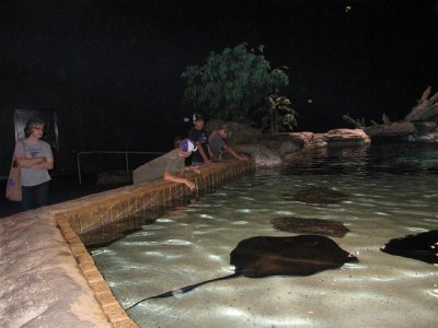 IMG_2999.JPG