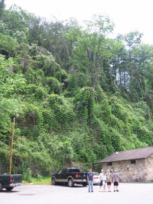 IMG_3013.JPG