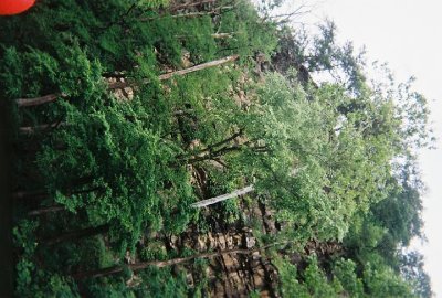 035743-R1-04-21A.jpg
