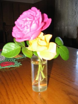 IMG_3066.JPG