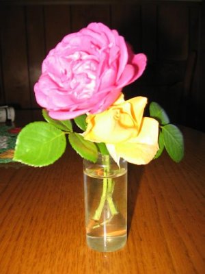 IMG_3067.JPG