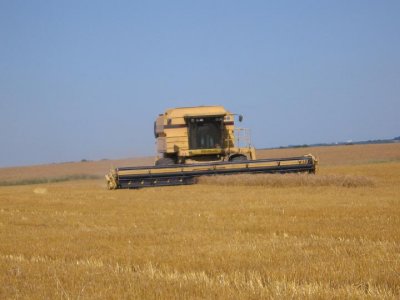 IMG_3103.JPG