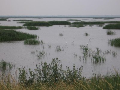 IMG_3163.JPG