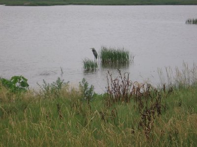 IMG_3165.JPG