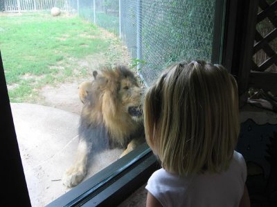 IMG_3175.JPG
