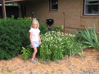 IMG_3199.JPG